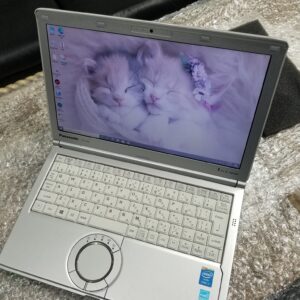 Panasonic